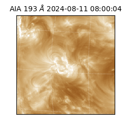 saia - 2024-08-11T08:00:04.843000