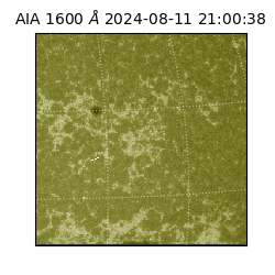 saia - 2024-08-11T21:00:38.125000