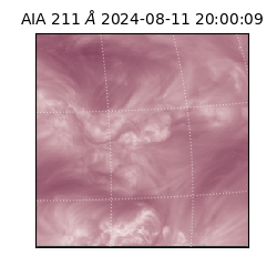 saia - 2024-08-11T20:00:09.630000