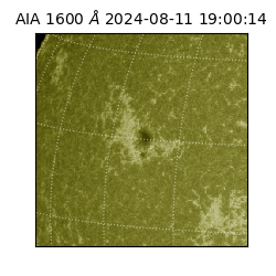 saia - 2024-08-11T19:00:14.126000