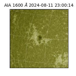 saia - 2024-08-11T23:00:14.118000