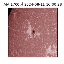 saia - 2024-08-11T16:00:28.720000