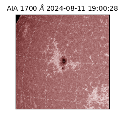 saia - 2024-08-11T19:00:28.720000
