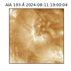 saia - 2024-08-11T19:00:04.843000
