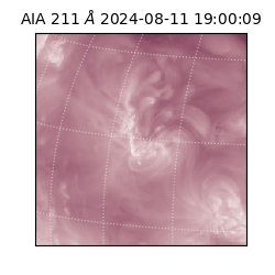 saia - 2024-08-11T19:00:09.630000