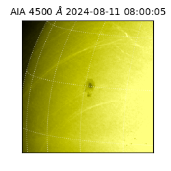 saia - 2024-08-11T08:00:05.969000