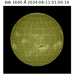 saia - 2024-08-11T01:00:14.126000