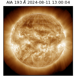 saia - 2024-08-11T13:00:04.844000