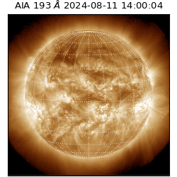 saia - 2024-08-11T14:00:04.842000