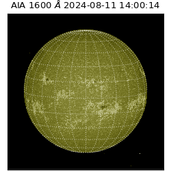 saia - 2024-08-11T14:00:14.126000