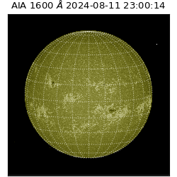 saia - 2024-08-11T23:00:14.118000