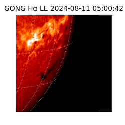 gong - 2024-08-11T05:00:42