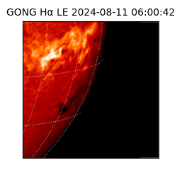gong - 2024-08-11T06:00:42