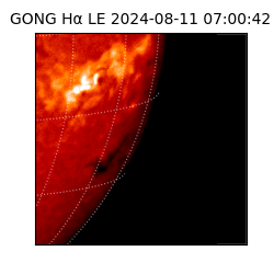 gong - 2024-08-11T07:00:42