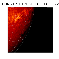 gong - 2024-08-11T08:00:22