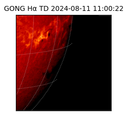 gong - 2024-08-11T11:00:22