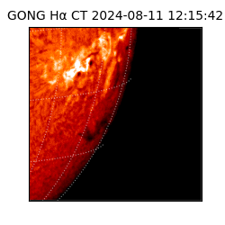 gong - 2024-08-11T12:15:42