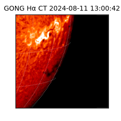 gong - 2024-08-11T13:00:42