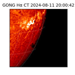 gong - 2024-08-11T20:00:42