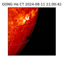 gong - 2024-08-11T21:00:42