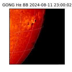 gong - 2024-08-11T23:00:02