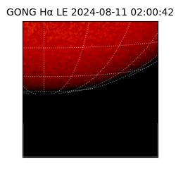 gong - 2024-08-11T02:00:42