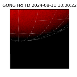 gong - 2024-08-11T10:00:22