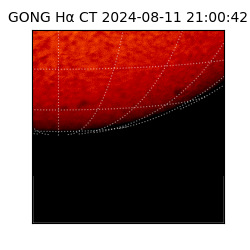 gong - 2024-08-11T21:00:42