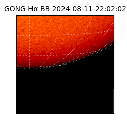 gong - 2024-08-11T22:02:02