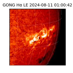 gong - 2024-08-11T01:00:42
