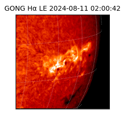 gong - 2024-08-11T02:00:42