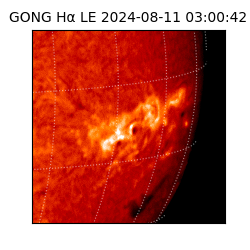 gong - 2024-08-11T03:00:42