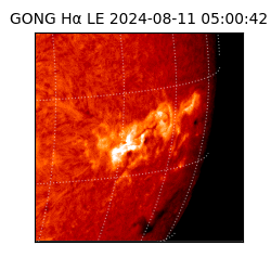 gong - 2024-08-11T05:00:42