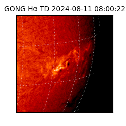 gong - 2024-08-11T08:00:22