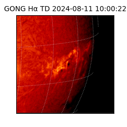 gong - 2024-08-11T10:00:22