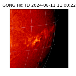 gong - 2024-08-11T11:00:22