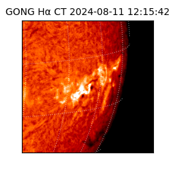 gong - 2024-08-11T12:15:42