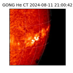 gong - 2024-08-11T21:00:42