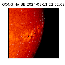 gong - 2024-08-11T22:02:02
