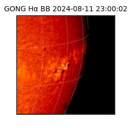 gong - 2024-08-11T23:00:02