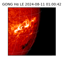gong - 2024-08-11T01:00:42