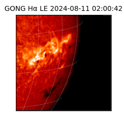 gong - 2024-08-11T02:00:42
