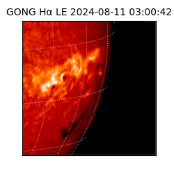 gong - 2024-08-11T03:00:42