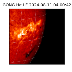 gong - 2024-08-11T04:00:42