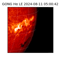 gong - 2024-08-11T05:00:42