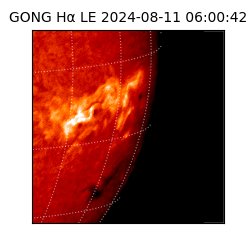 gong - 2024-08-11T06:00:42