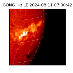 gong - 2024-08-11T07:00:42