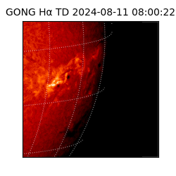 gong - 2024-08-11T08:00:22