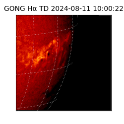 gong - 2024-08-11T10:00:22