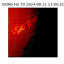 gong - 2024-08-11T11:00:22